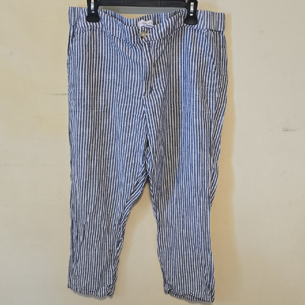 Liz Claiborne Blue and White Striped Cotton Chinos
